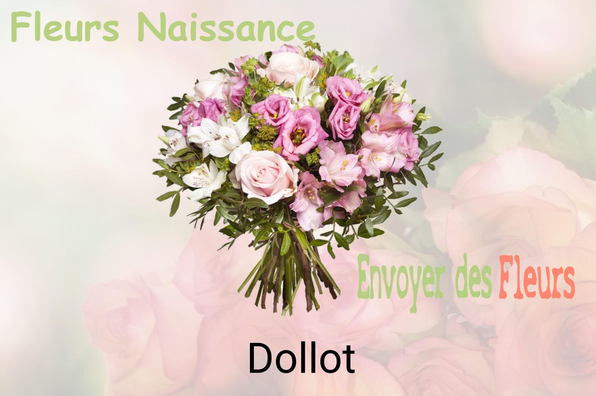 Bouquet de fleurs de naissance livré à Dollot